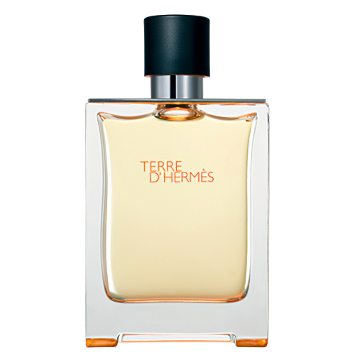 Hermes terre d'hermes 100ml