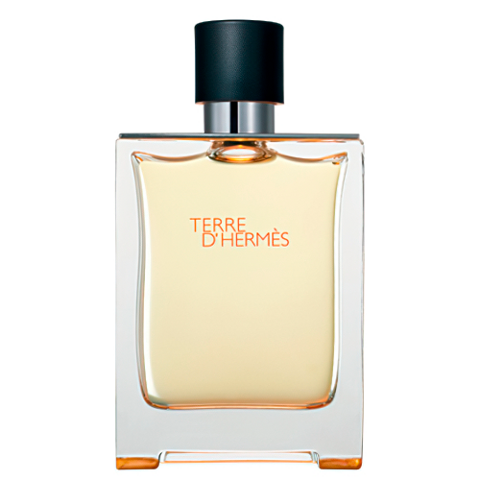 Hermes terre d'hermes 100ml